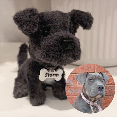 Custom Dog Replica from Photo, Poseable Art Doll, Pet Memorial Keepsake - Handmade Soft Sculpture, Personalised Plushie Ornament