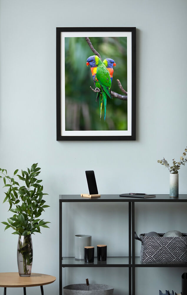 Lorikeet-Lovers--photo-frame-with-interior-1024x650-WEB