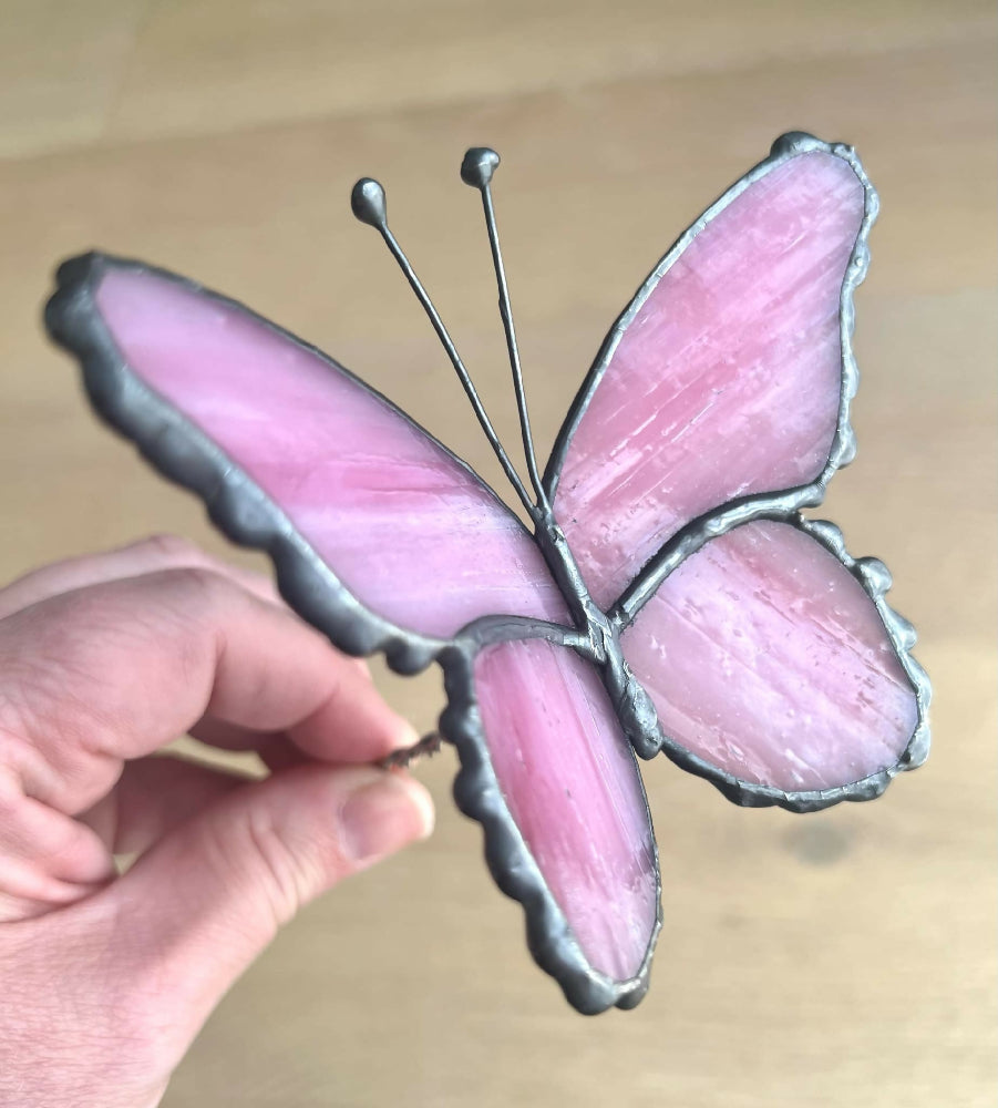 Pink Butterfly 1