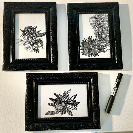 Set of 3 original dot and line art of Australian flora