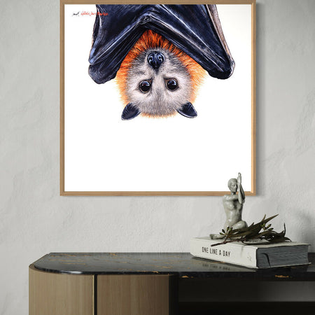 Grey-headed flying fox - Australian Wildlife Portrait Canvas Print