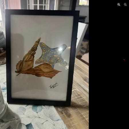 watercolor , framed art , minimal design , study of seashells and star fish , framed signed artwork , original work , beautiful , matt and shimmering watercolors