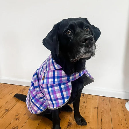 Berry Bliss Flannelette Dog Coat