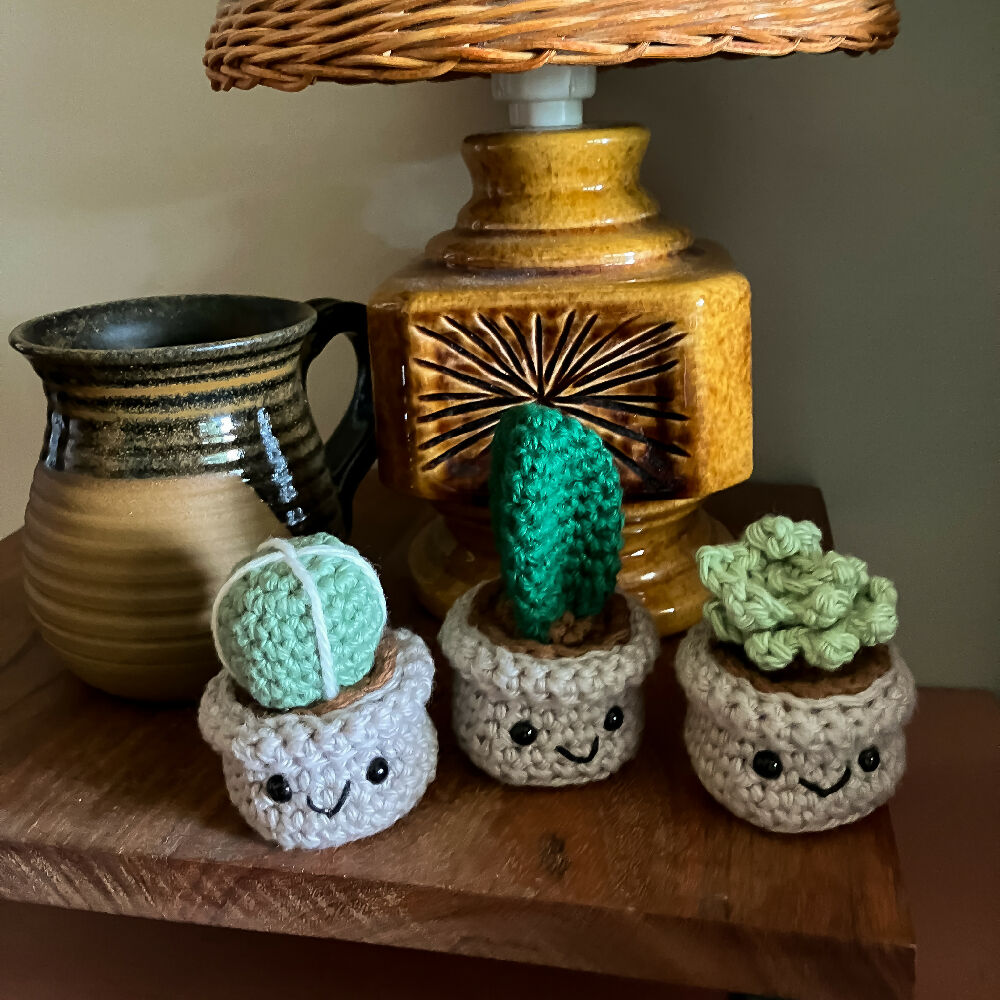 Crochet Succulent and Cacti Trio of Buddies