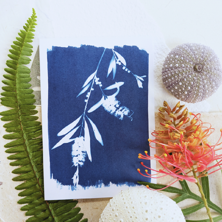 Recycled Australian Flora Greeting Cards ~ Cyanotype Art ~ Eco-Friendly ~