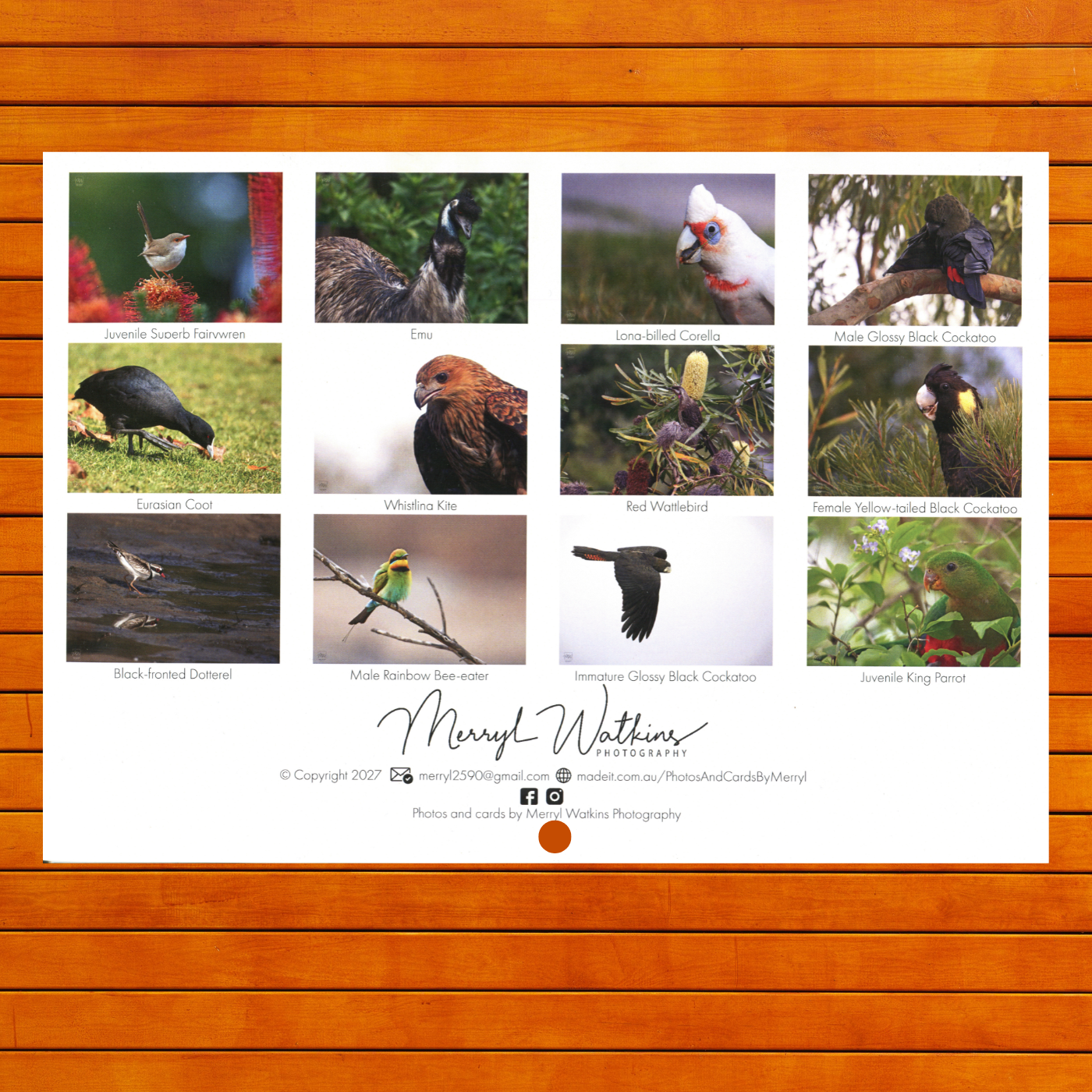 2027 Calendar - A Year of Birds - A4 Photographic Calendar