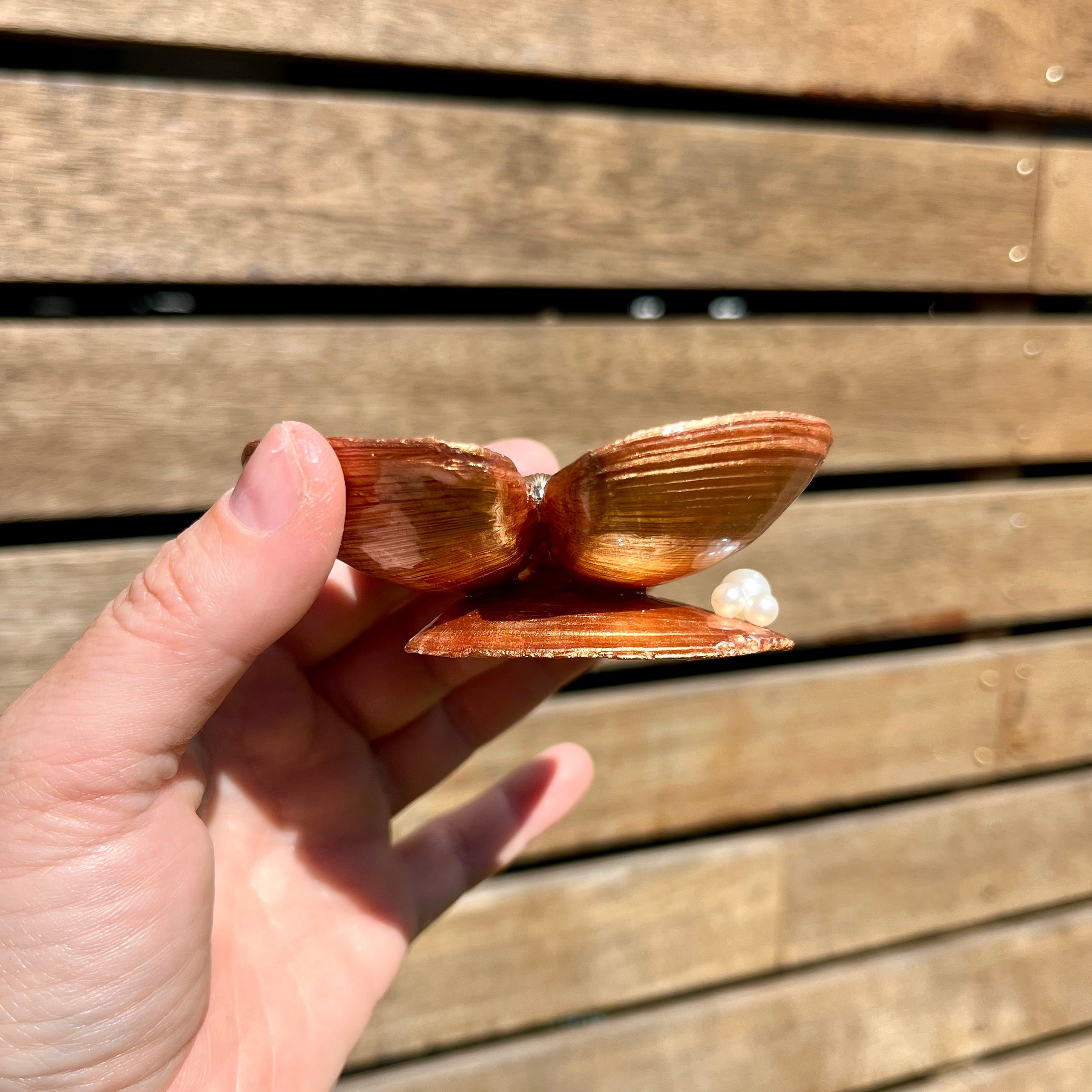 Trinket Dish With Scallop & Pearls