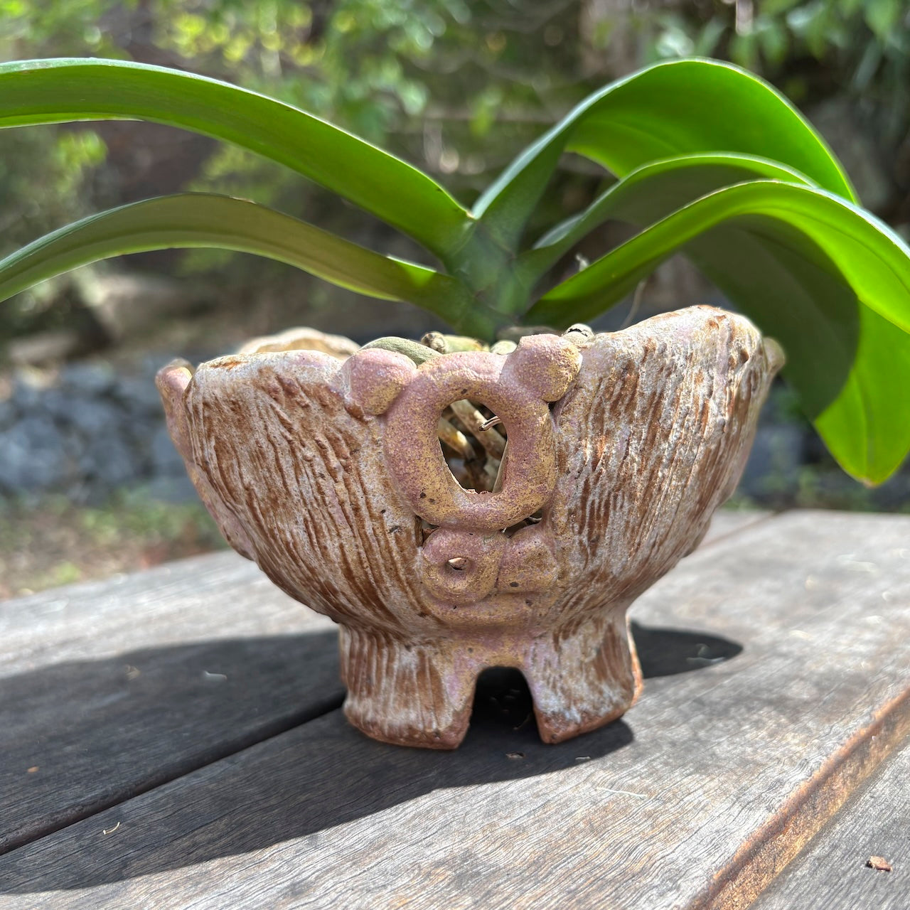 Ceramic orchid pot – bark and circle design