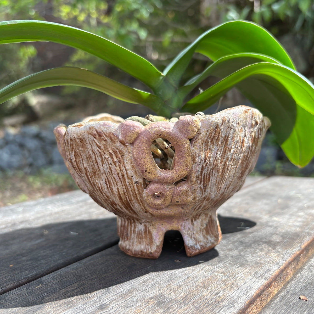 Ceramic orchid pot – bark and circle design