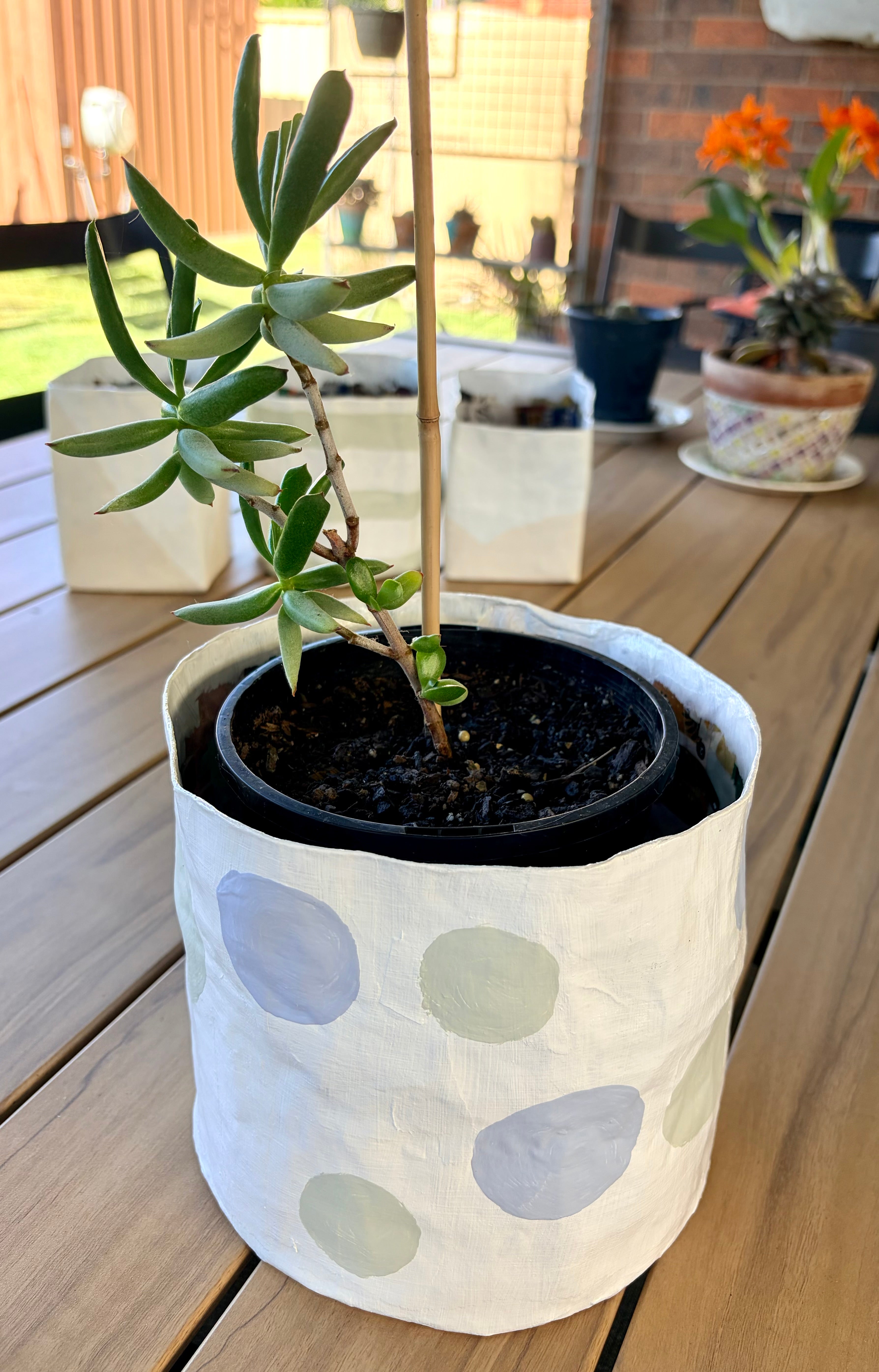 Papier-mâché Plant Pot