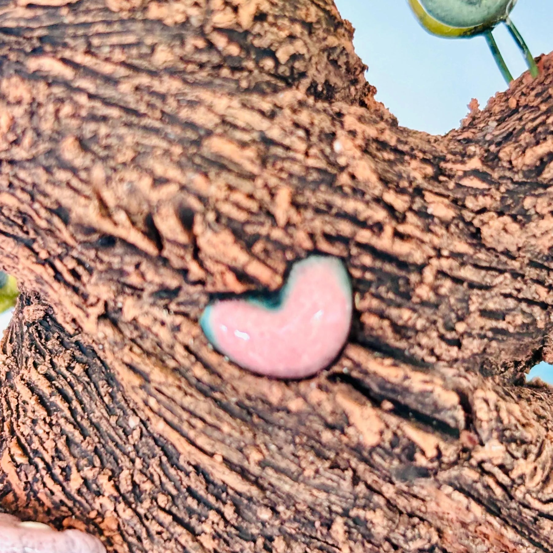 Handmade Earthenware Nature Scene Planter with a Tasmanian Devil