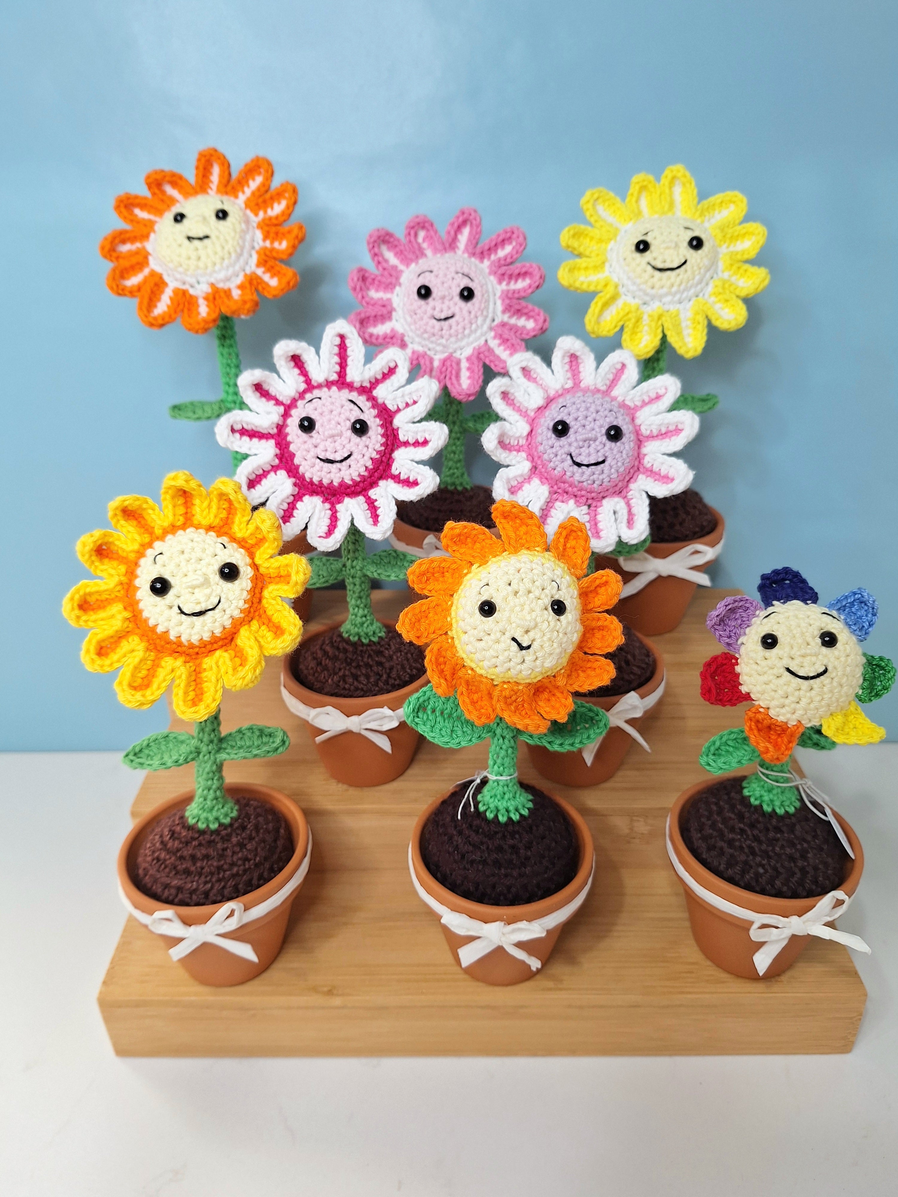 Happy Daisy Crocheted Flower in  Terracotta Pot