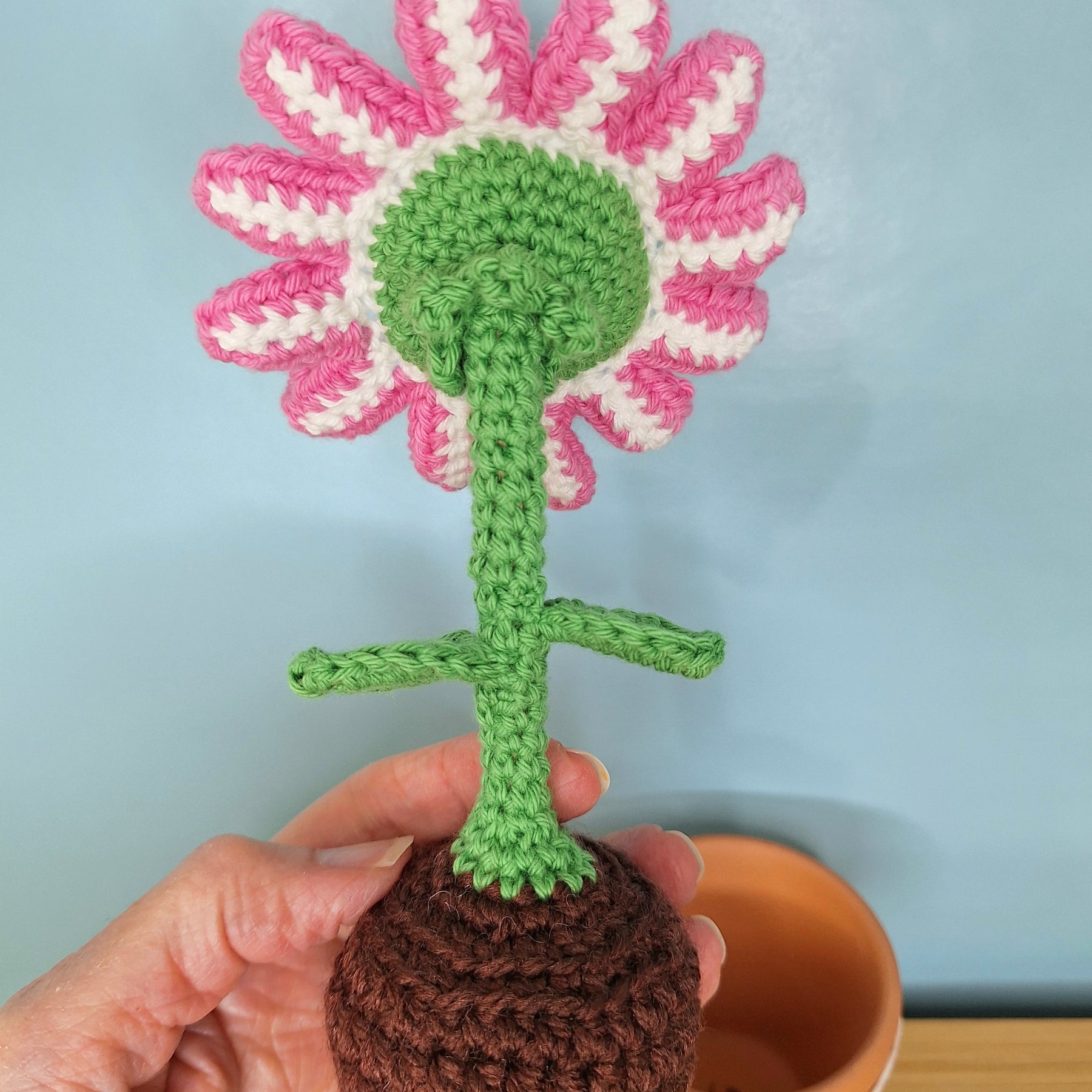 Happy Daisy Crocheted Flower in  Terracotta Pot