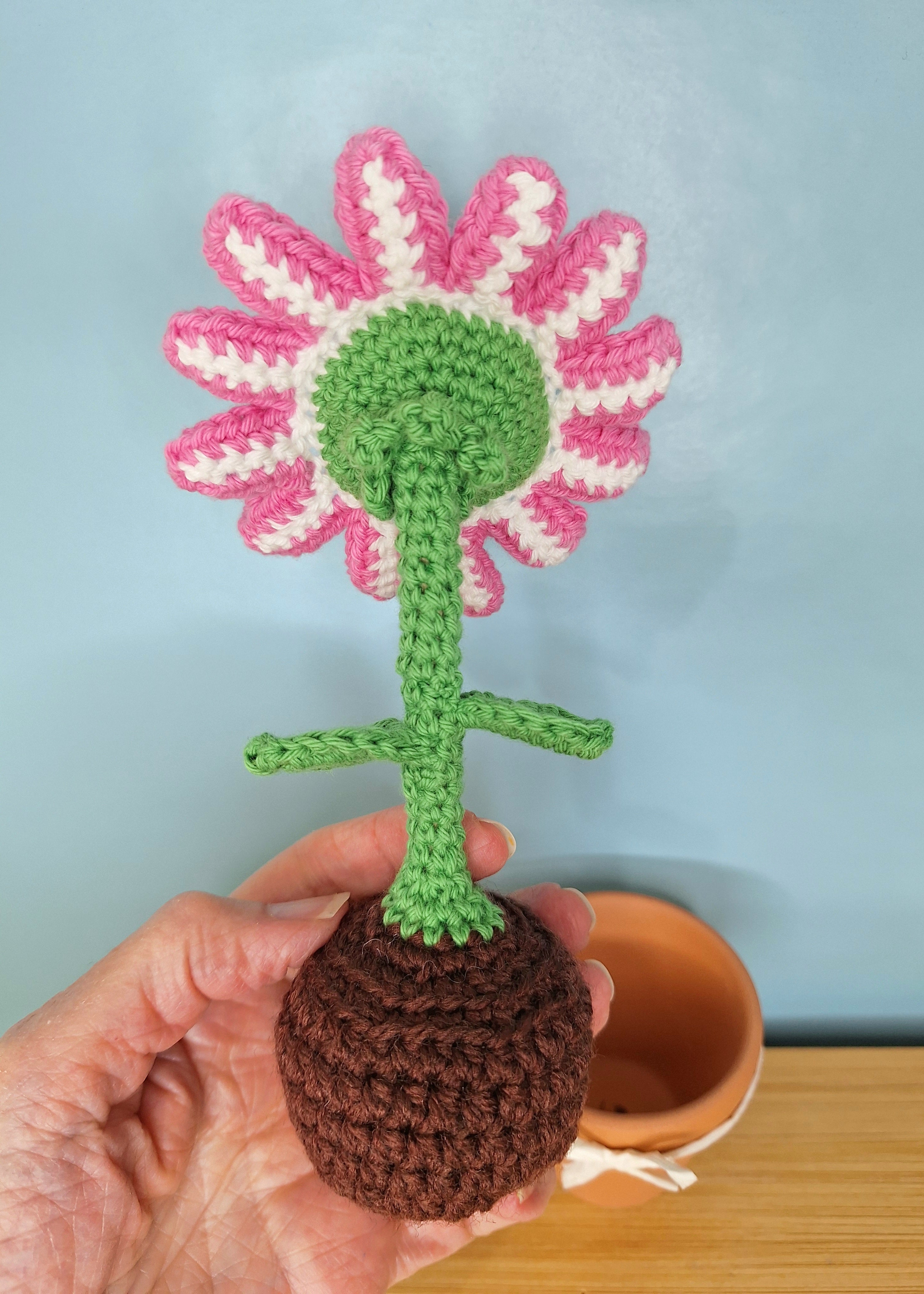 Happy Daisy Crocheted Flower in  Terracotta Pot