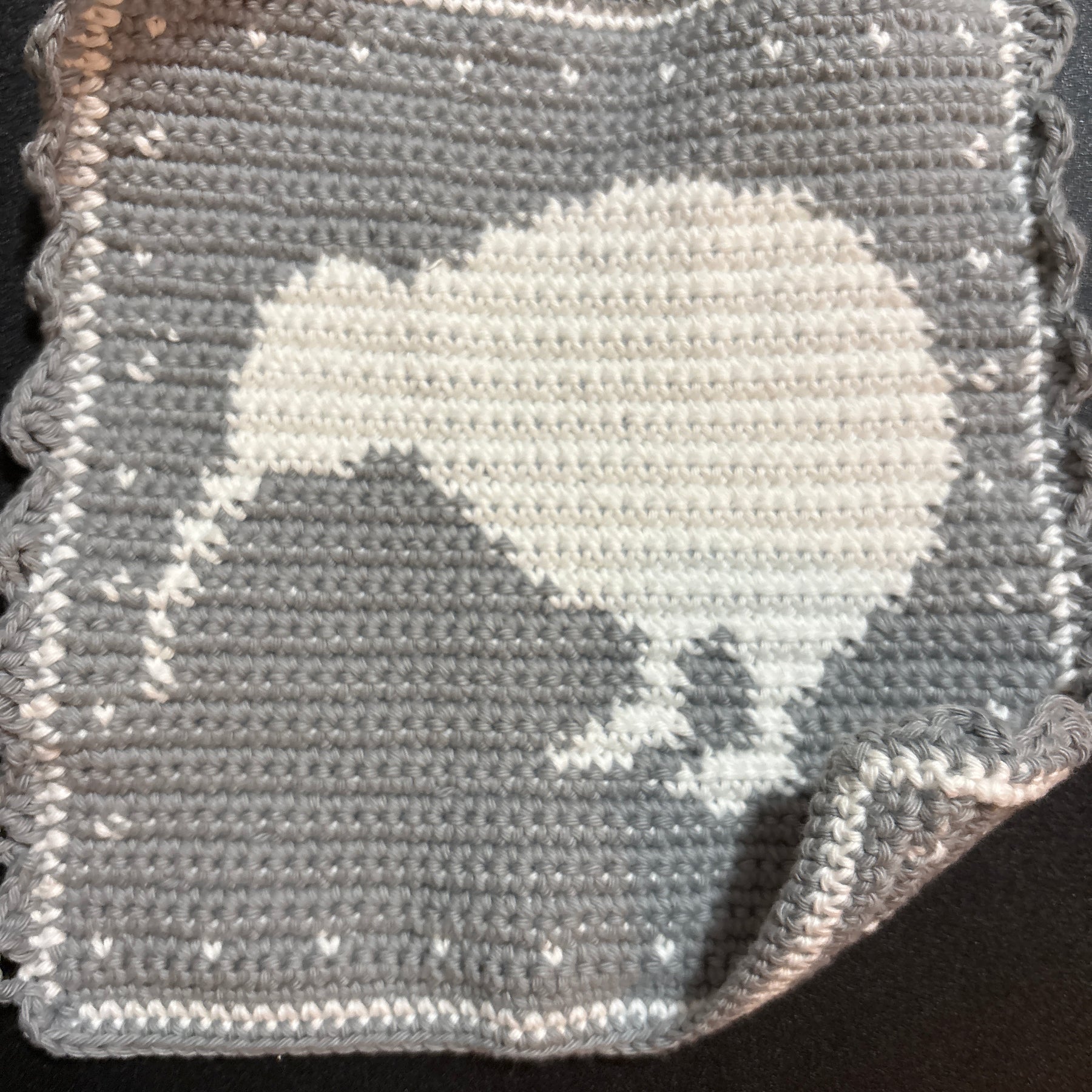 Tapestry Crochet Potholder or Hotpads