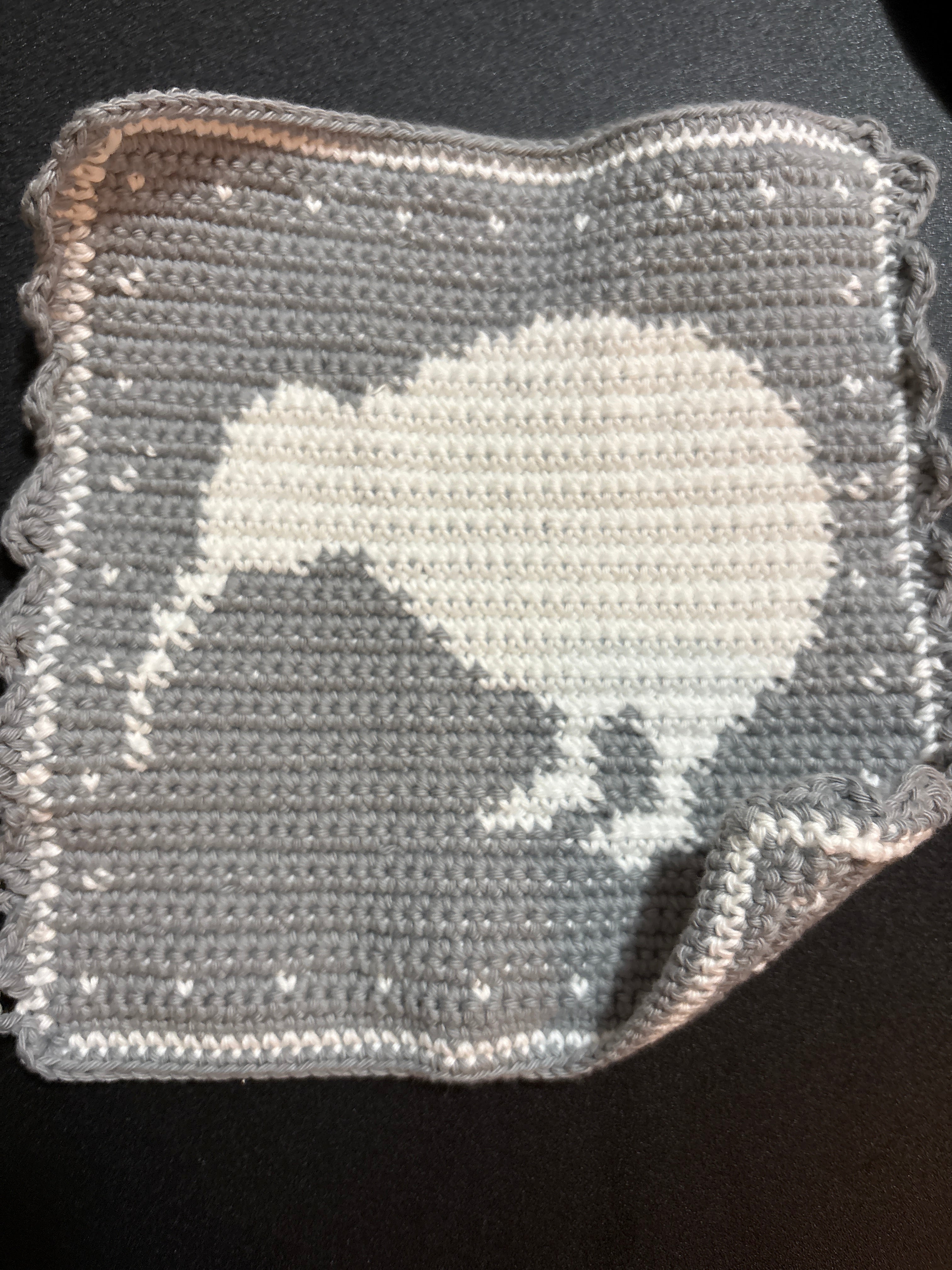 Tapestry Crochet Potholder or Hotpads