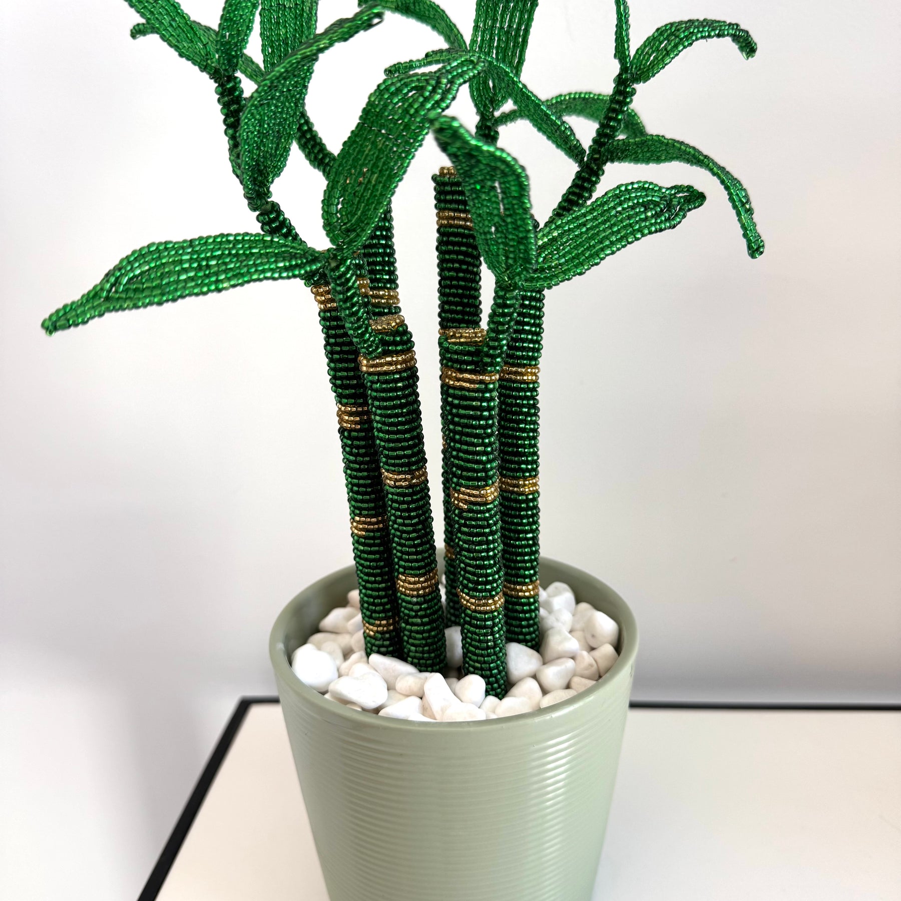 lucky bamboo melbourne French-beaded Lucky Bamboo