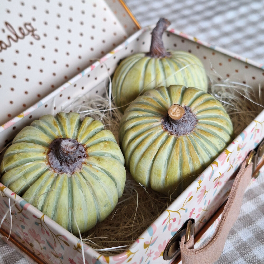 PUMPKIN - Jarrahdale