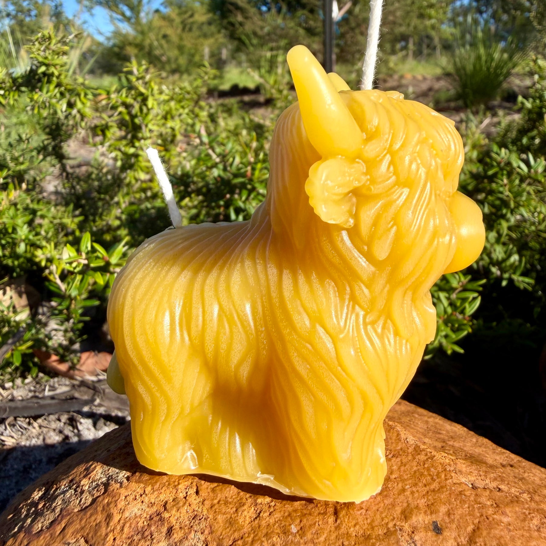 Honey Highland Beeswax Candle