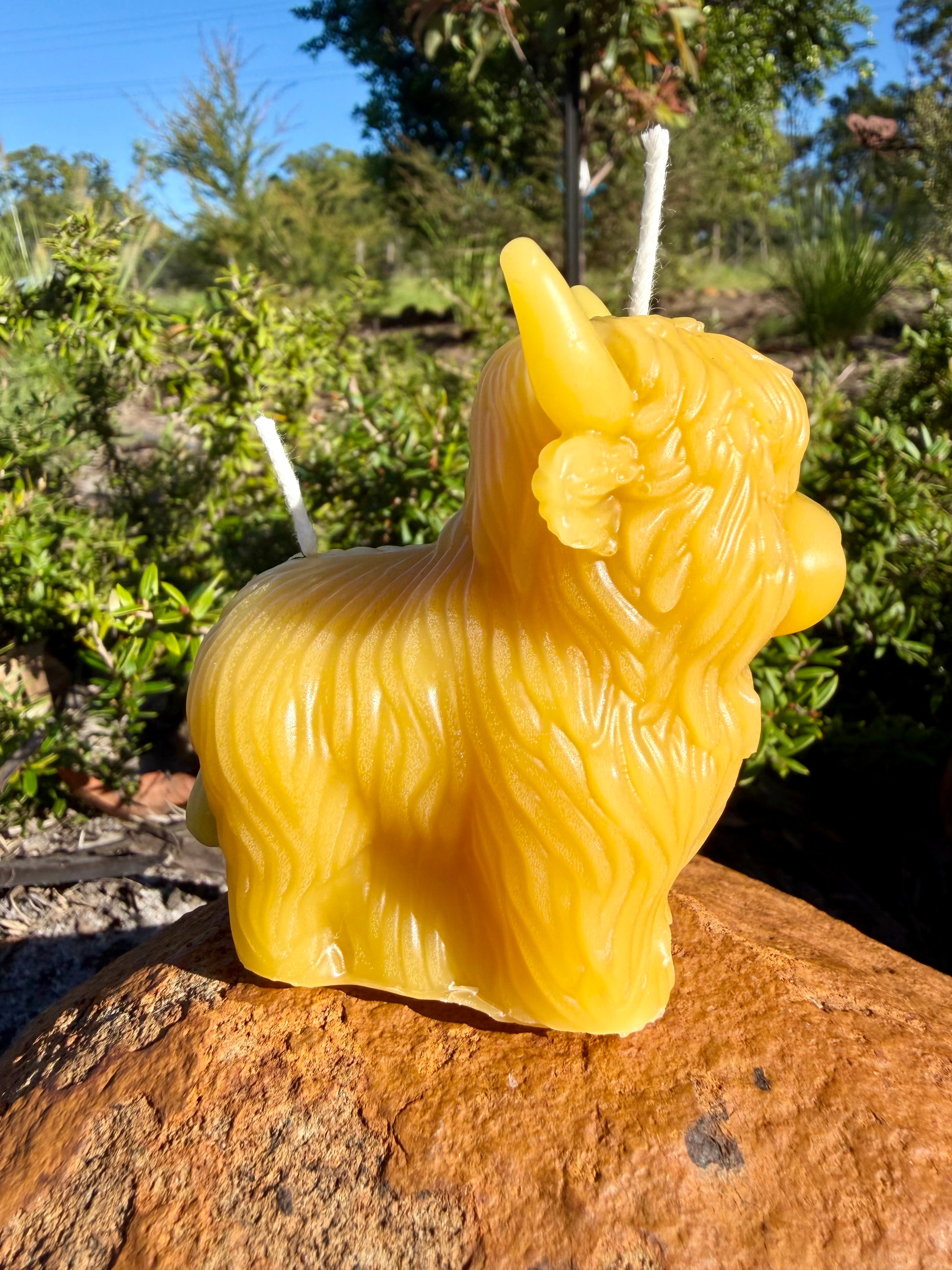 Honey Highland Beeswax Candle