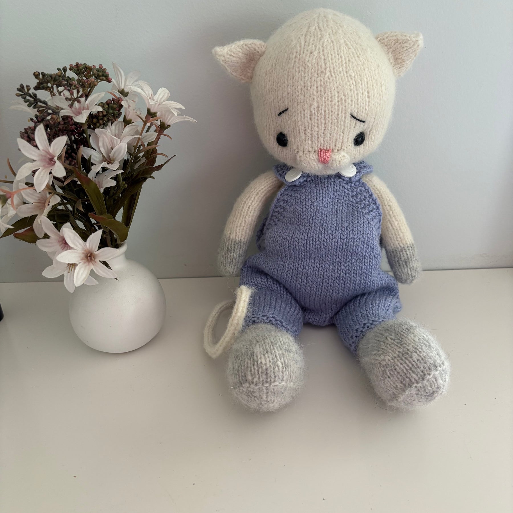 Fluffy cat in blue overalls