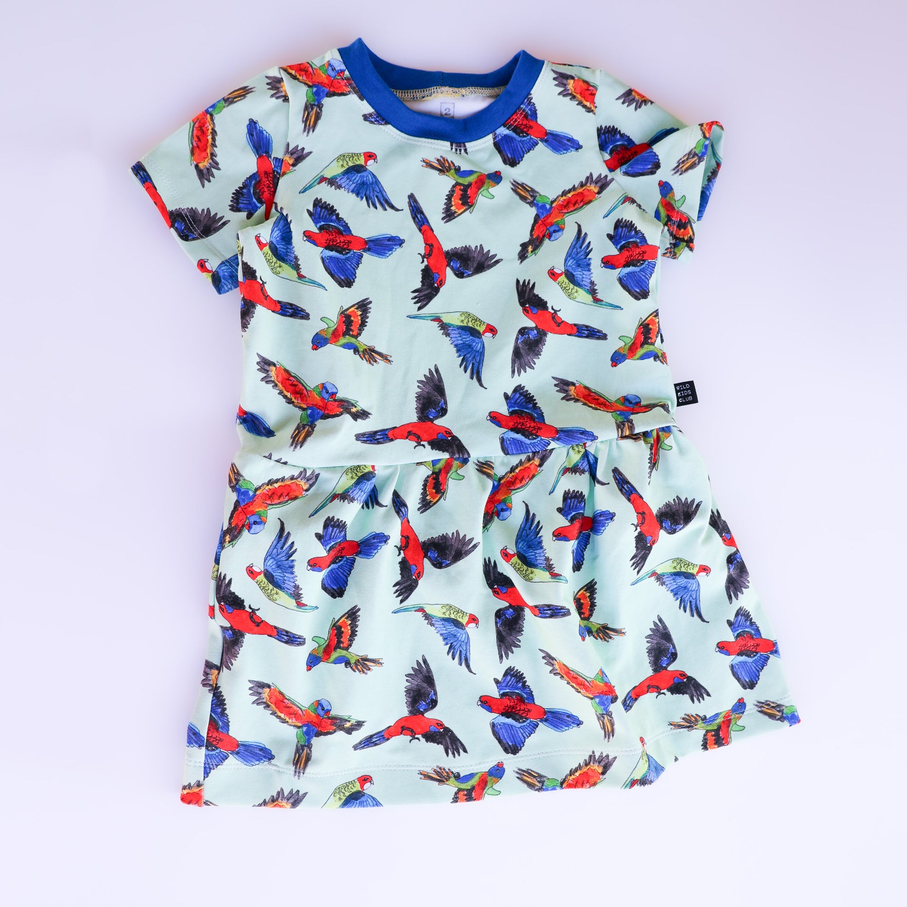 Rainbow birds organic cotton dress 2026-27