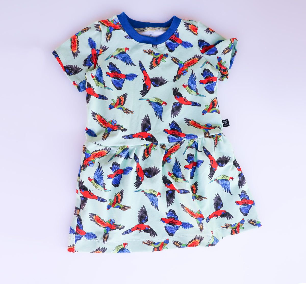 Rainbow birds organic cotton dress 2026-27