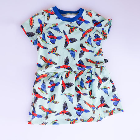 Rainbow birds organic cotton dress 2026-27