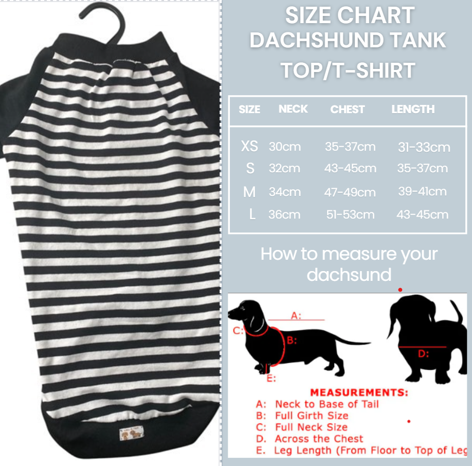Dachshund French Pierre oufit, shirt for dog and red beret for dog, dachshund, puppy or Kitten, Handmade Pet clothing/costume