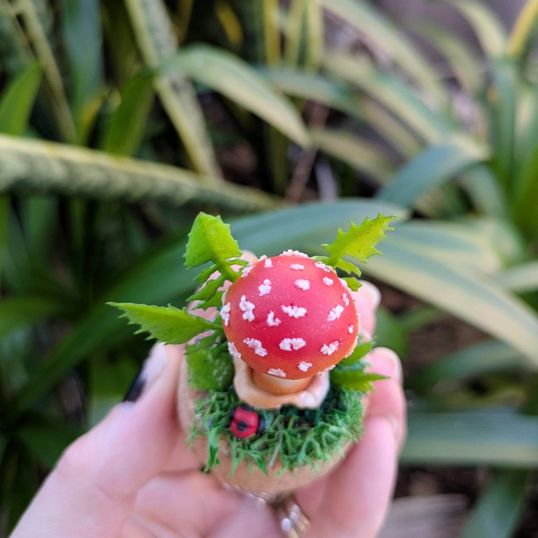 Mini Enchanted Amanita Mushroom Dome with a Ladybug