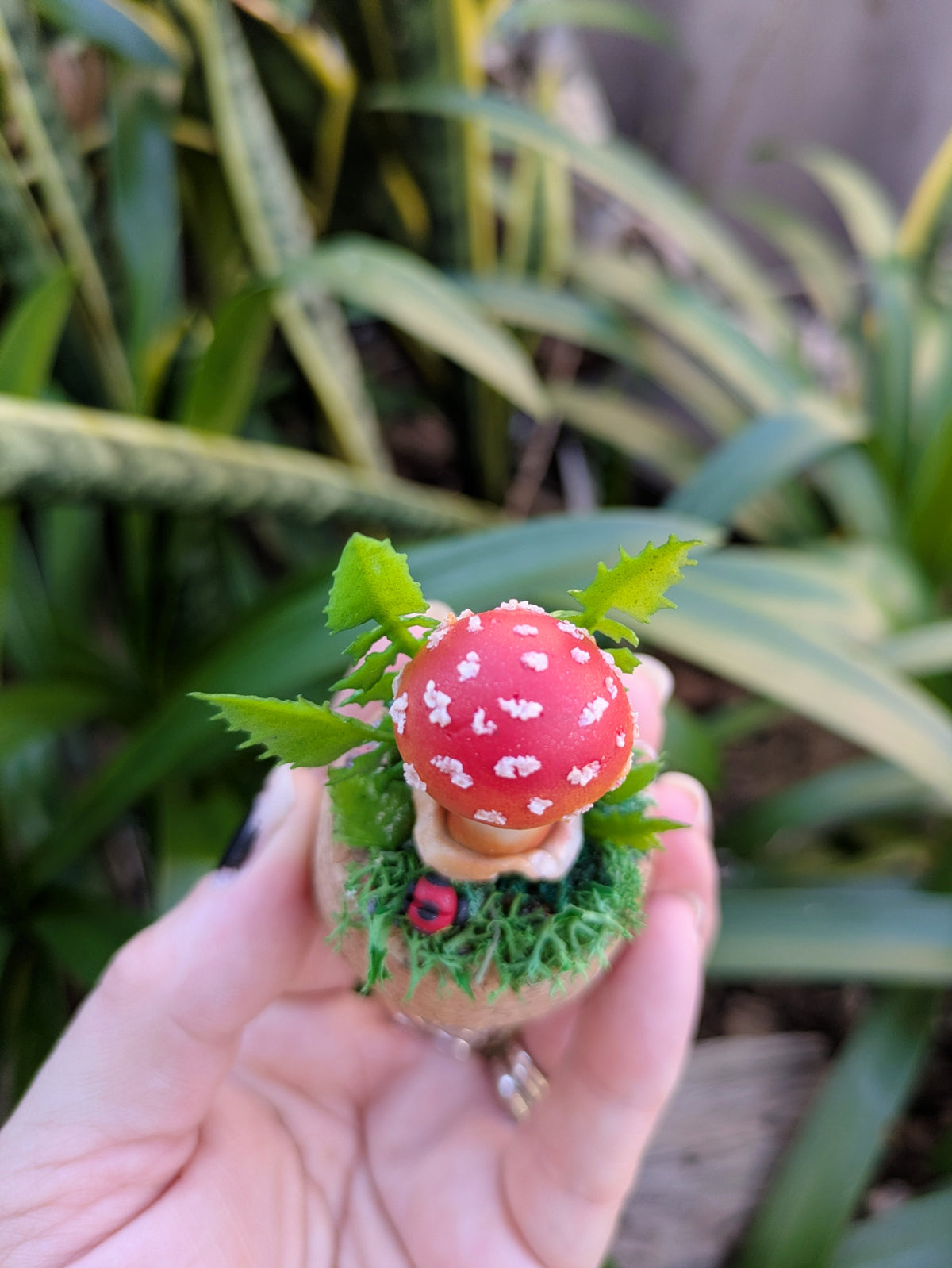 Mini Enchanted Amanita Mushroom Dome with a Ladybug