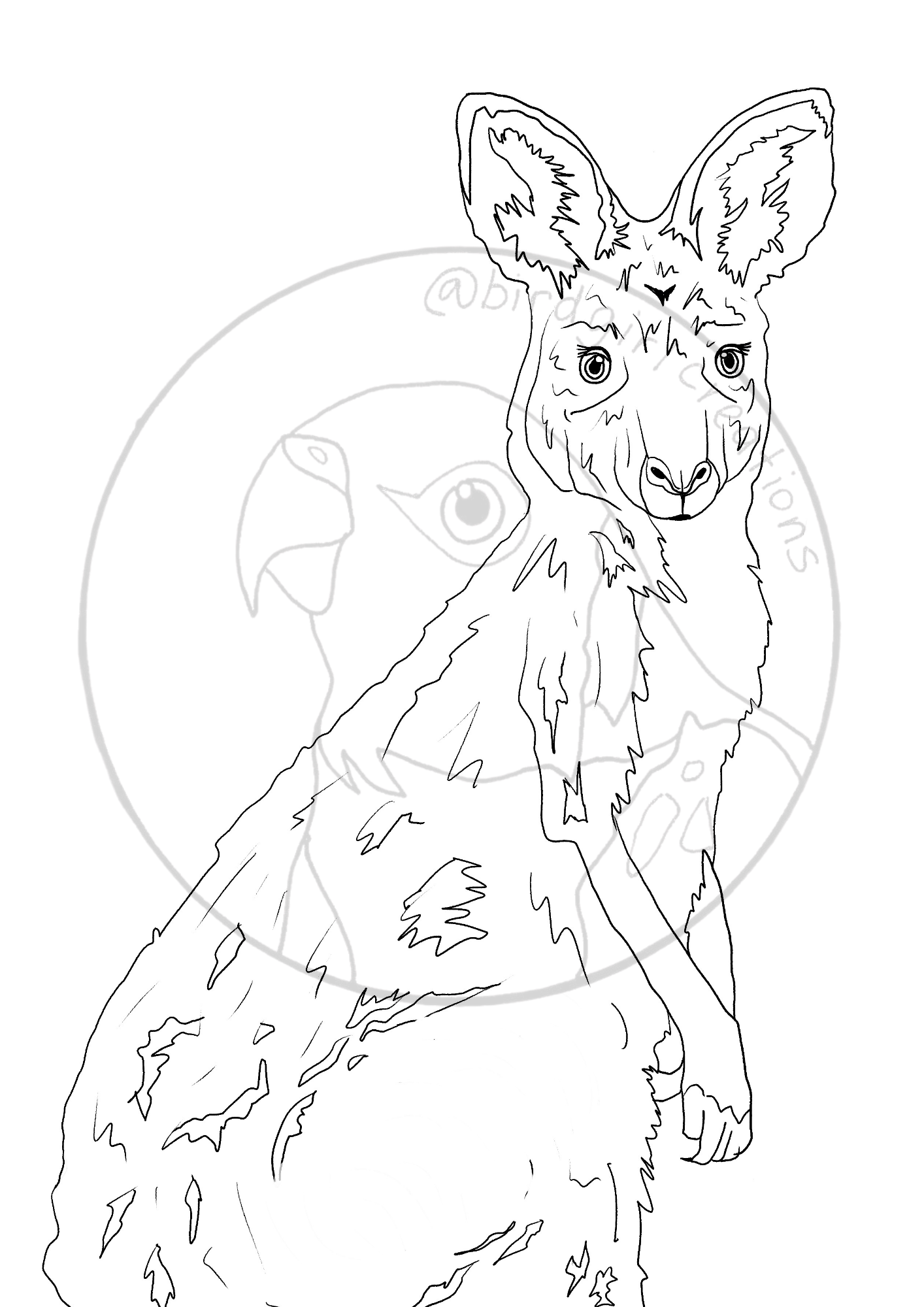 Kangaroo colouring page PDF