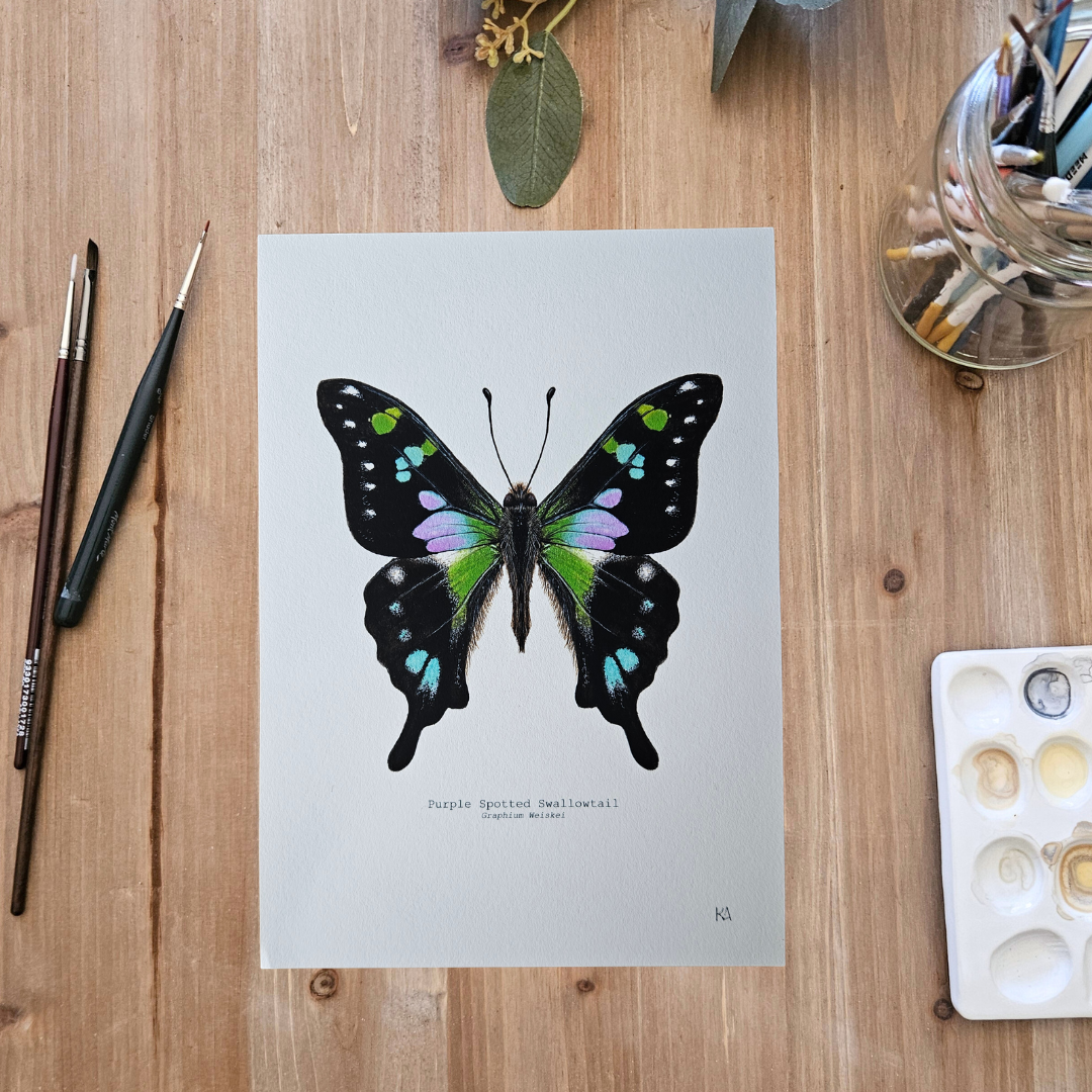 Watercolour Art Print - 'Purple Spotted Swallowtail'