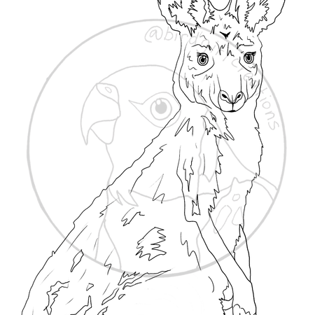 Kangaroo colouring page PDF