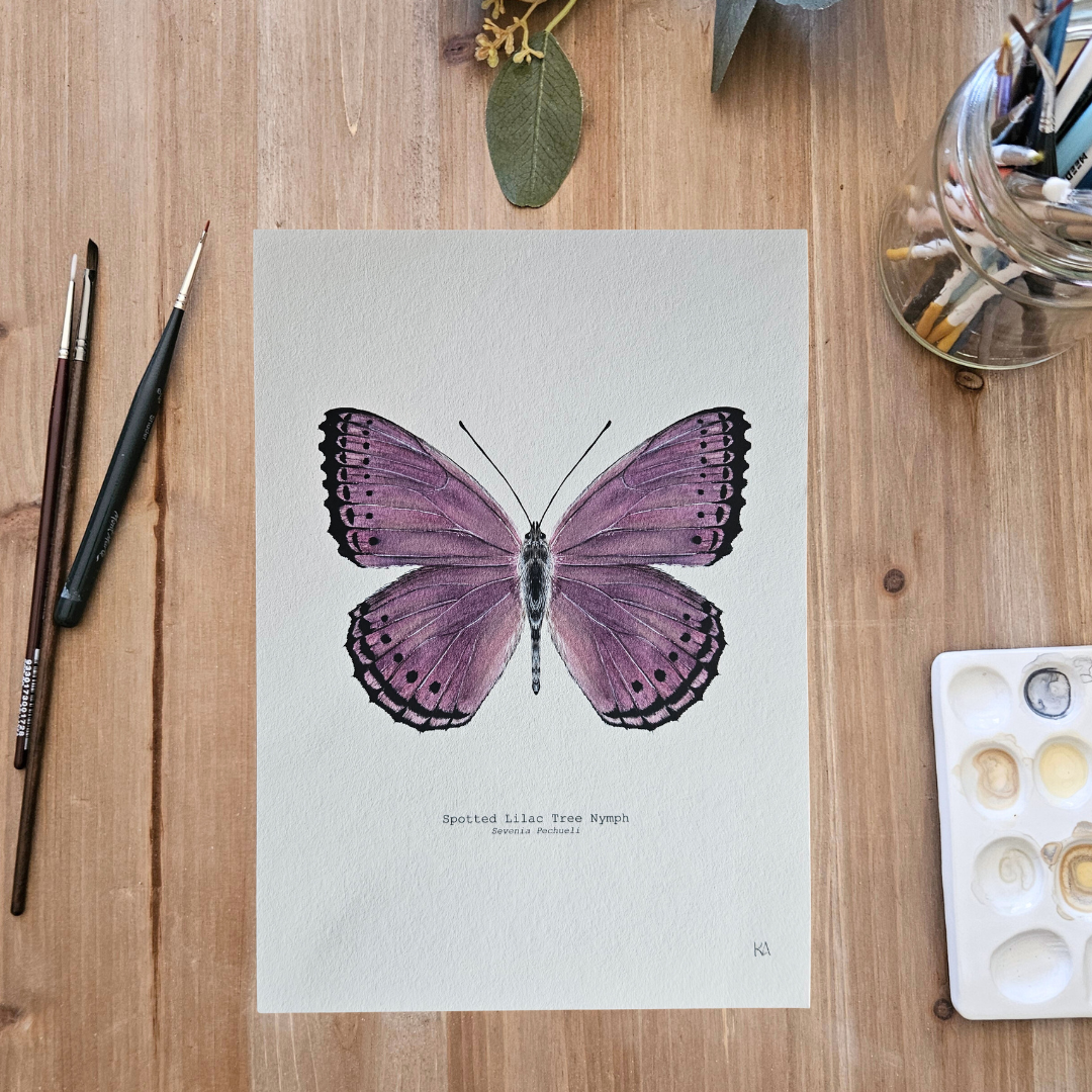 Watercolour Art Print - 'Spotted Lilac Butterfly'