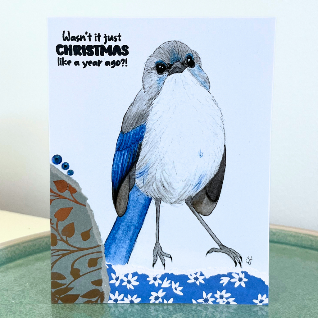 Christmas card - wrens and robins (choice of options)
