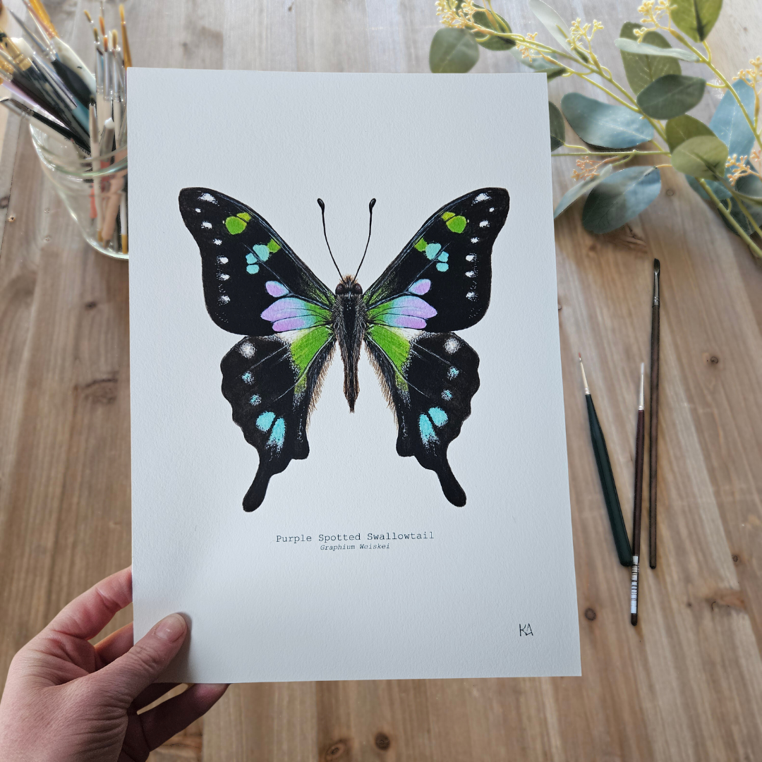 Watercolour Art Print - 'Purple Spotted Swallowtail'