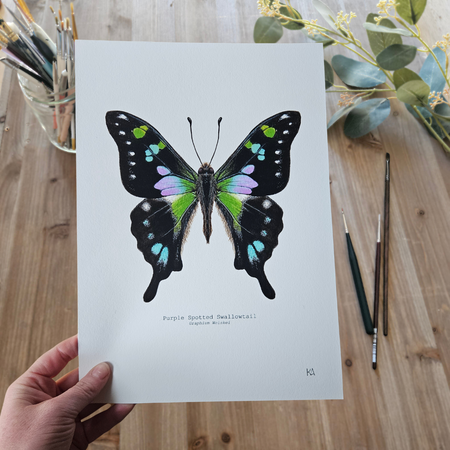 Watercolour Art Print - 'Purple Spotted Swallowtail'