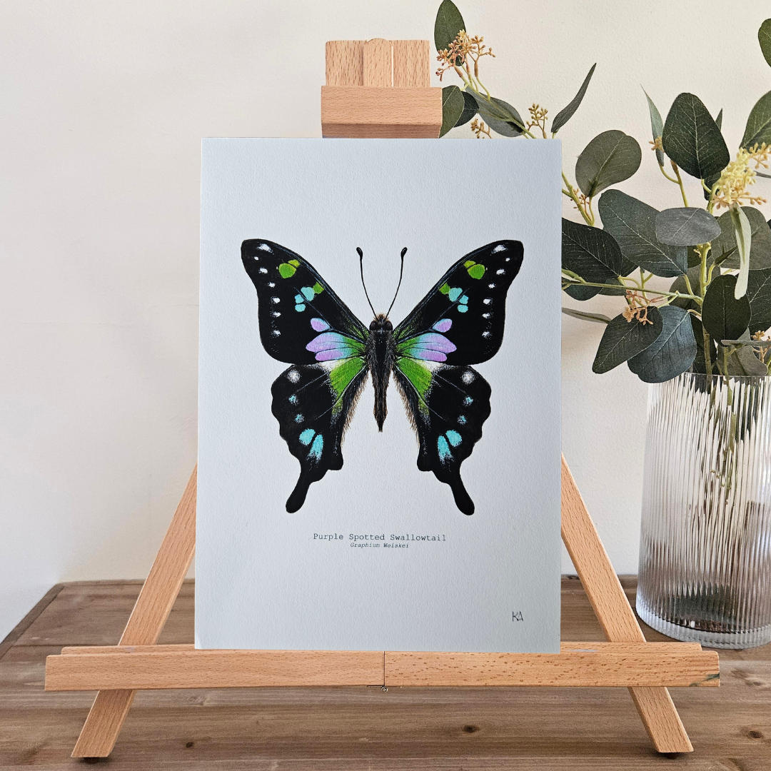 Watercolour Art Print - 'Purple Spotted Swallowtail'