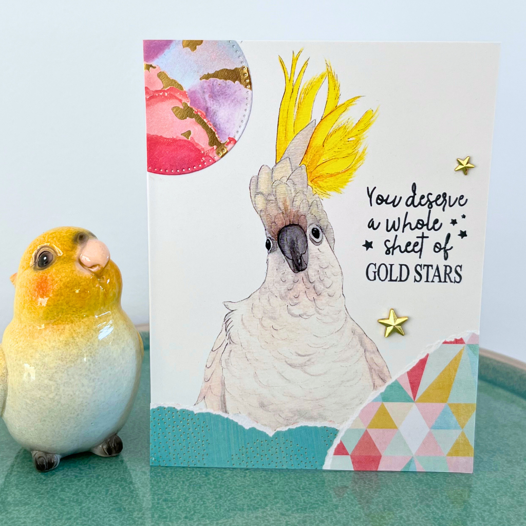 Cockatoo "You deserve a whole sheet of gold stars" card