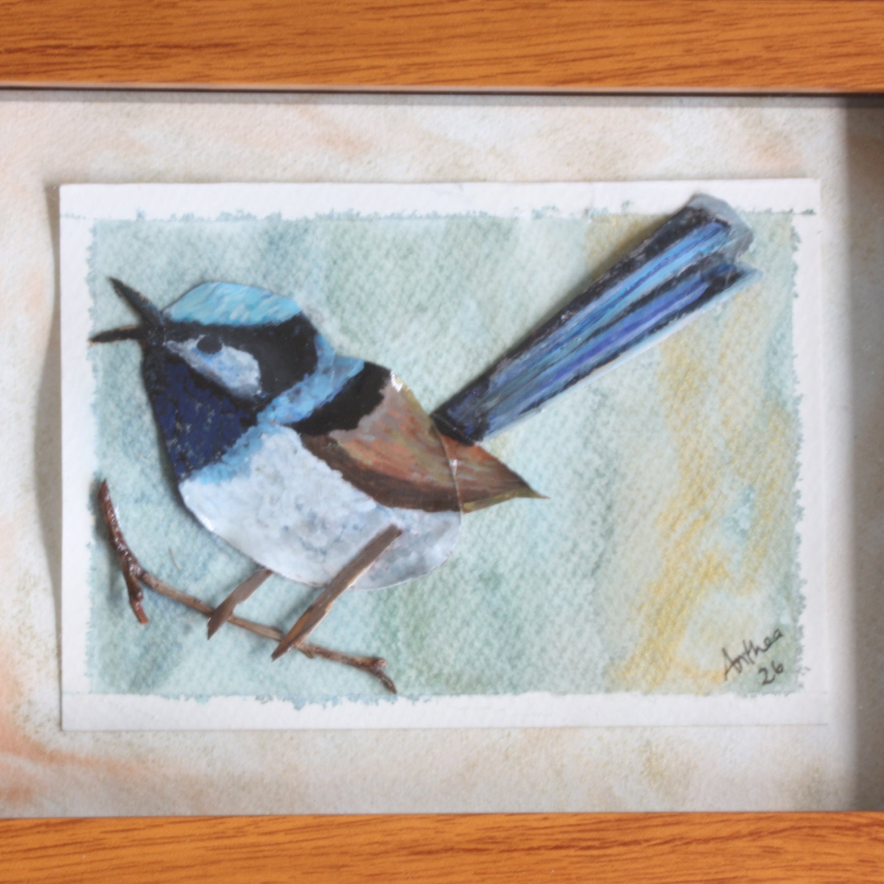Male Fairy Blue Wren Original Artwork