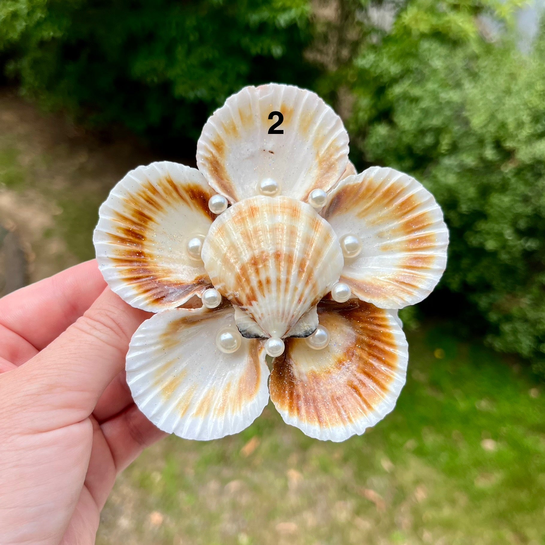 Medium Scallop Shell Flower Trays