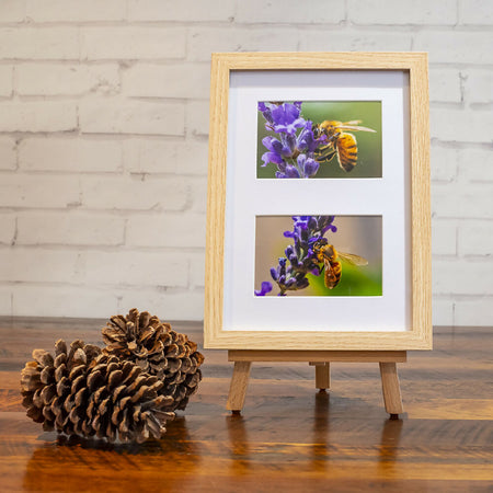 Framed Photography Prints - Wall Art - Nature, Flora and Fauna, Landscape