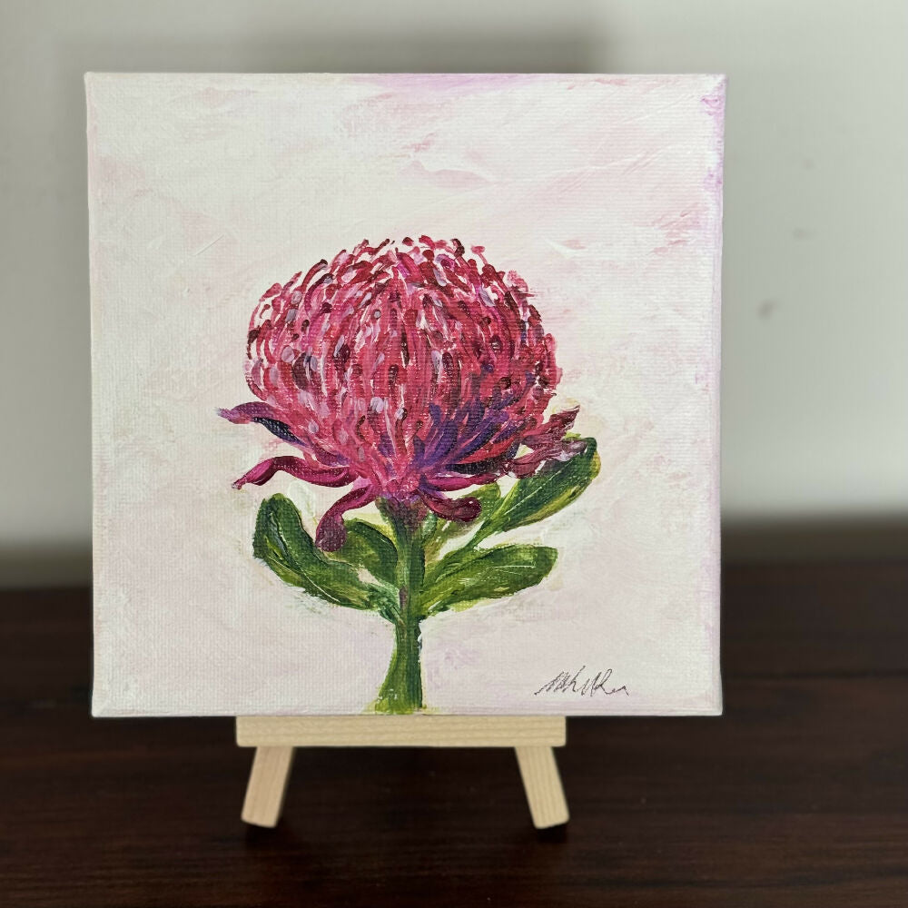 December Birthflower - Waratah