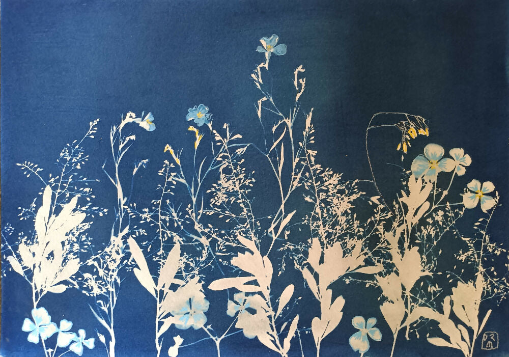 Plant Profusion- original cyanotype