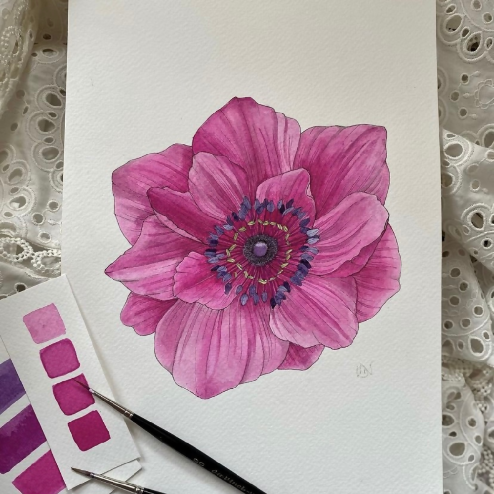 Pink Poppy Original - Watercolour and Ink