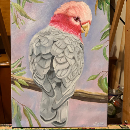 Original Oil Painting of a Galah - Hand Painted