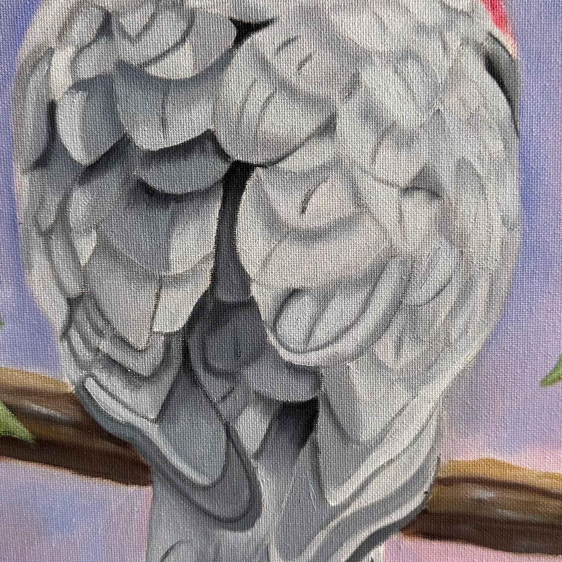 Original Oil Painting of a Galah - Hand Painted