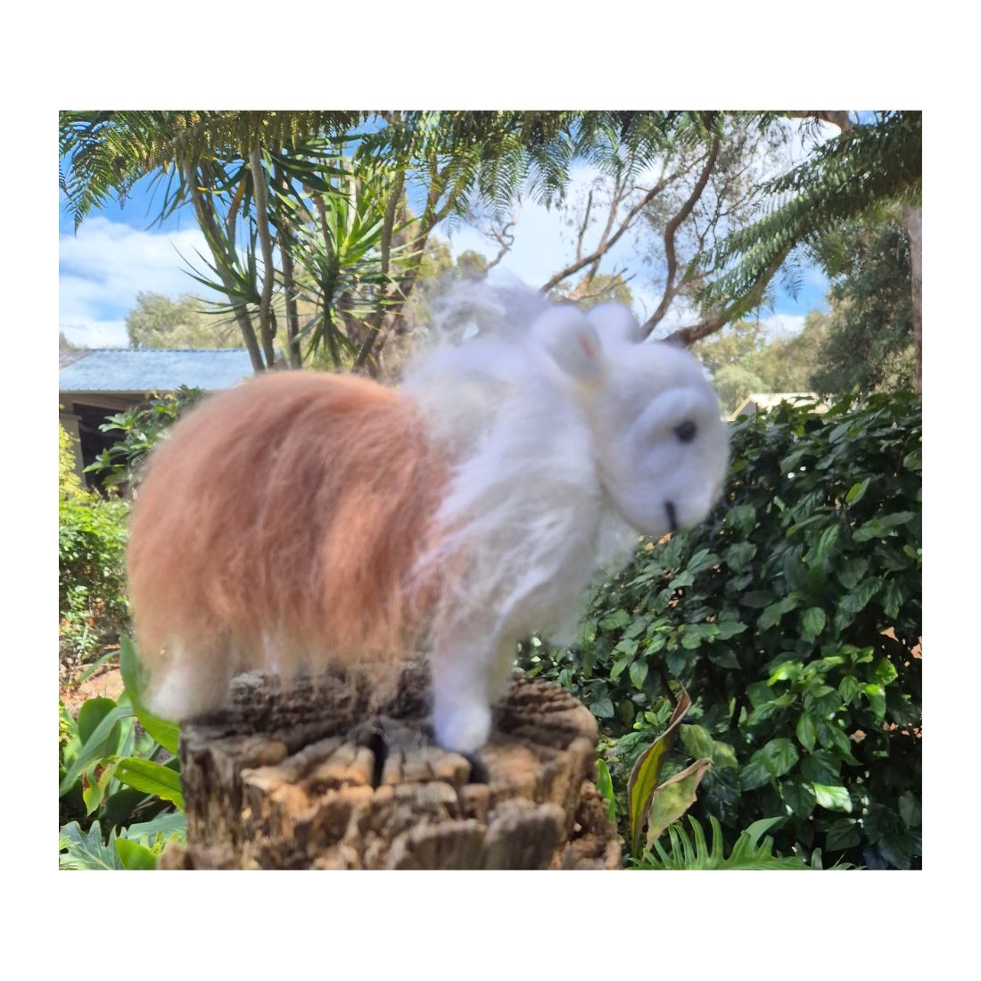 Needle Felted Herdwick Sheep/handmade/display