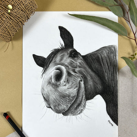 Horsing Around | Horse | Hand Drawn Original Artwork